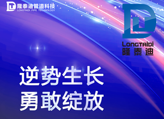 隆泰迪2022年终表彰大会取得圆满成功